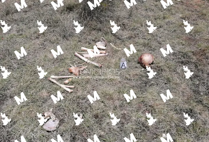 Hallan restos humanos en Tecali de Herrera