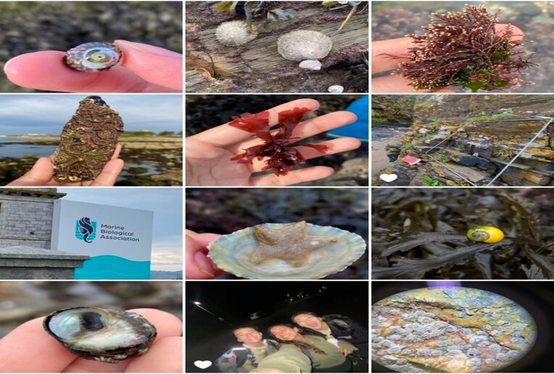 De Mérida a Londres: la travesía científica de Valeria Casales