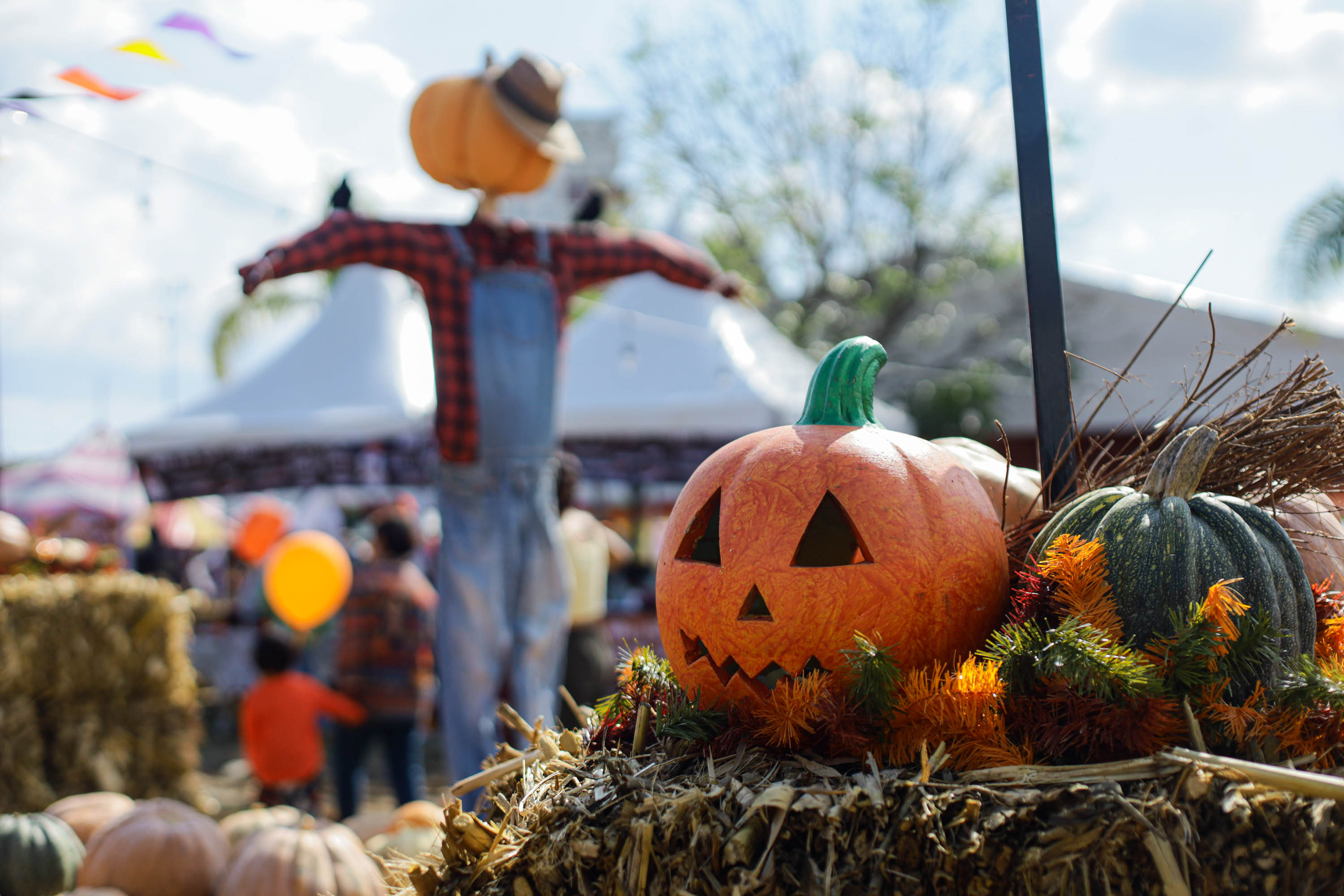 Llegó el otoño y trajo consigo el Pumpkin Zone 2025 