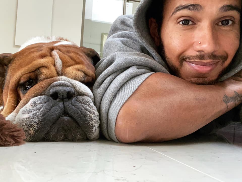Perdí a mi mejor amigo: Muere Roscoe, el perrito de Lewis Hamilton y mascota F1