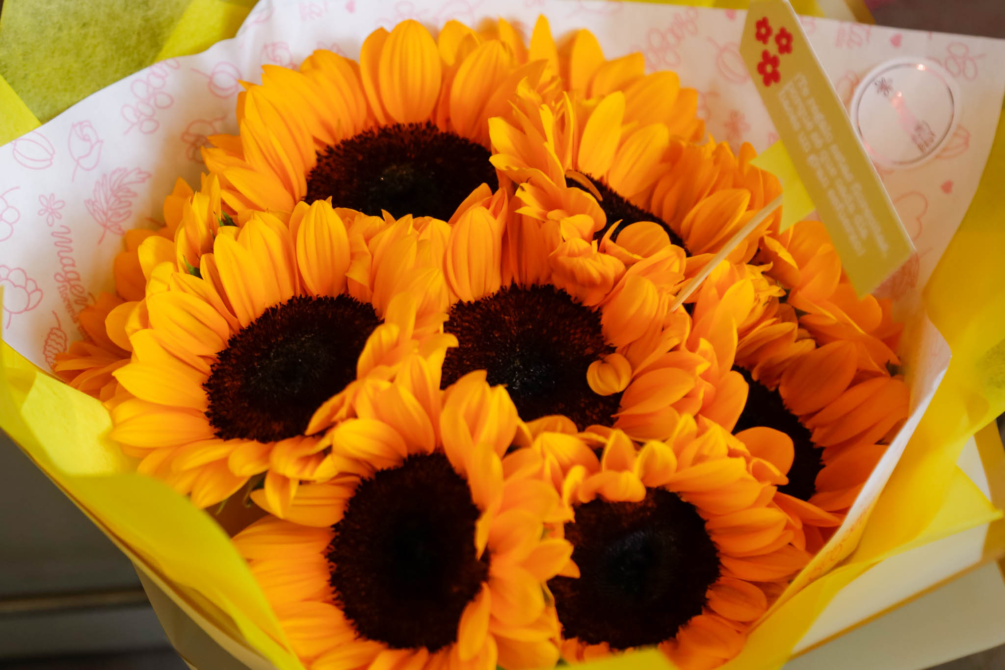 ¿Por qué regalar Flores Amarillas este 21 de septiembre? 