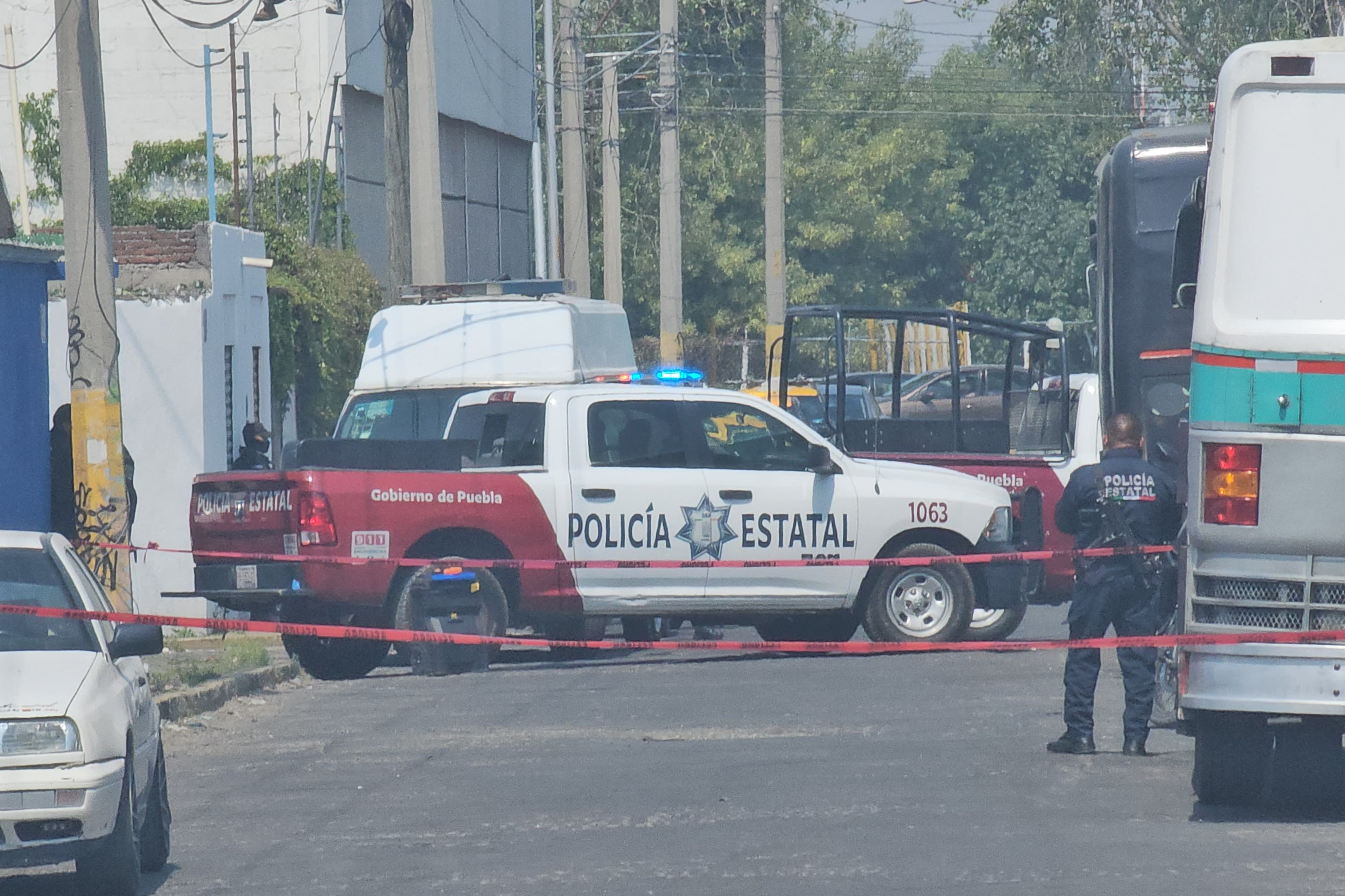 Camión que transportaba cerdos, vuelca en la carretera Puebla–Tehuacán
