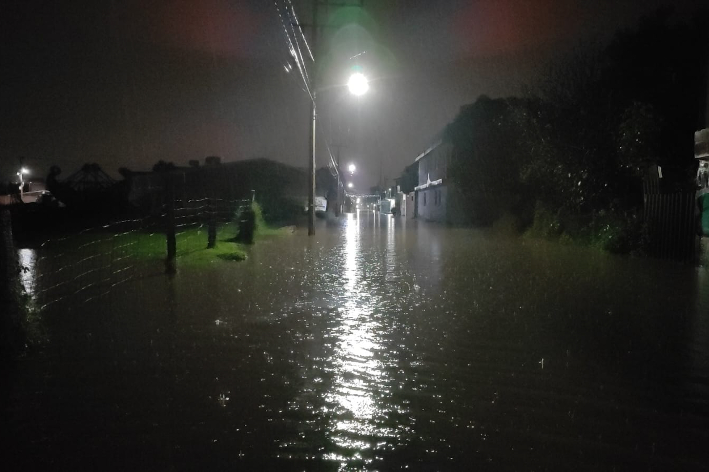 VIDEO Inundaciones, autos varados y árboles caídos, deja lluvia en Puebla y la Zona Metropolitana