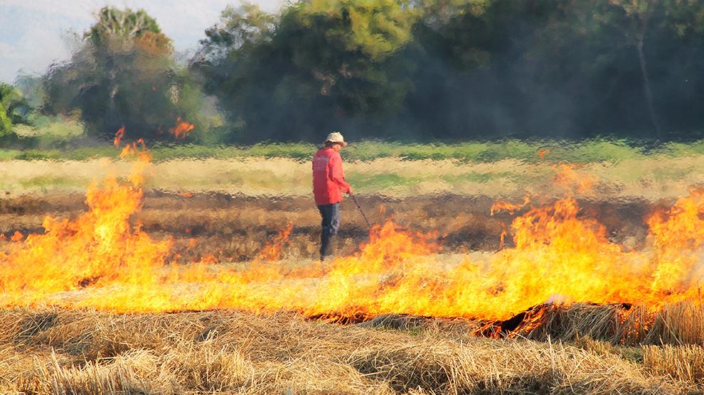 La contaminación natural también es un riesgo ambiental