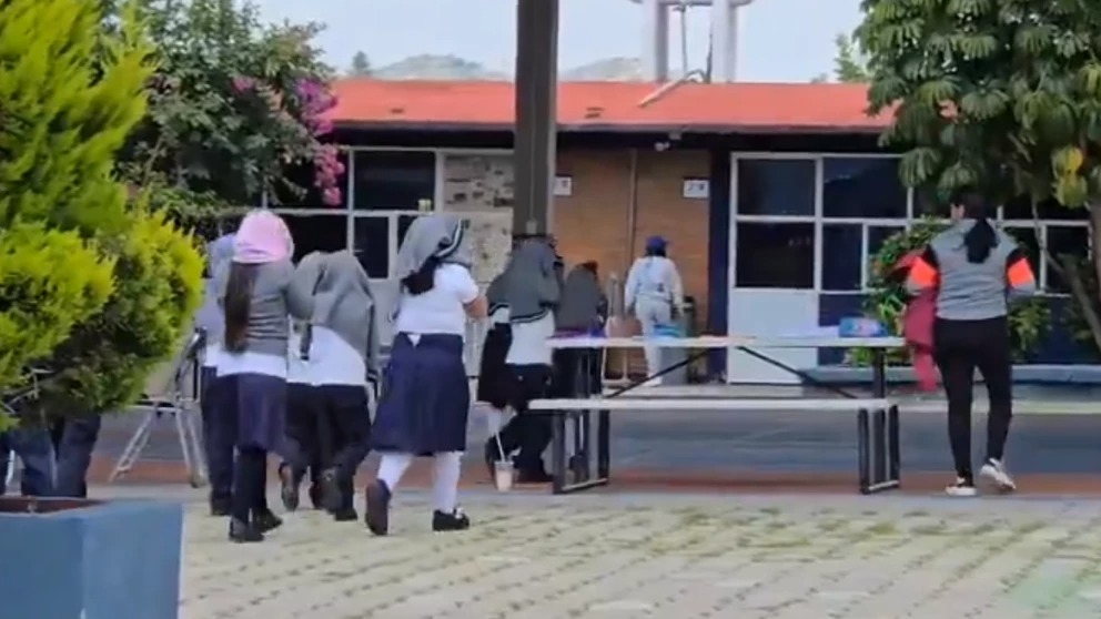 Abejas atacan a estudiantes de escuela primaria en Atlixco