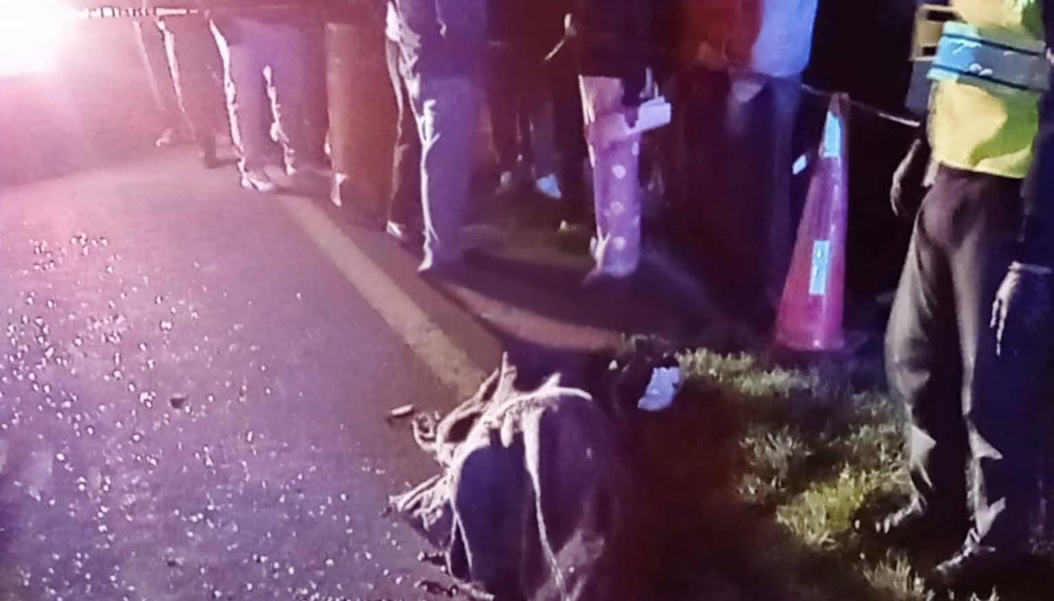 Muere menor de 14 años tras derrapar en su motocicleta en Oriental 