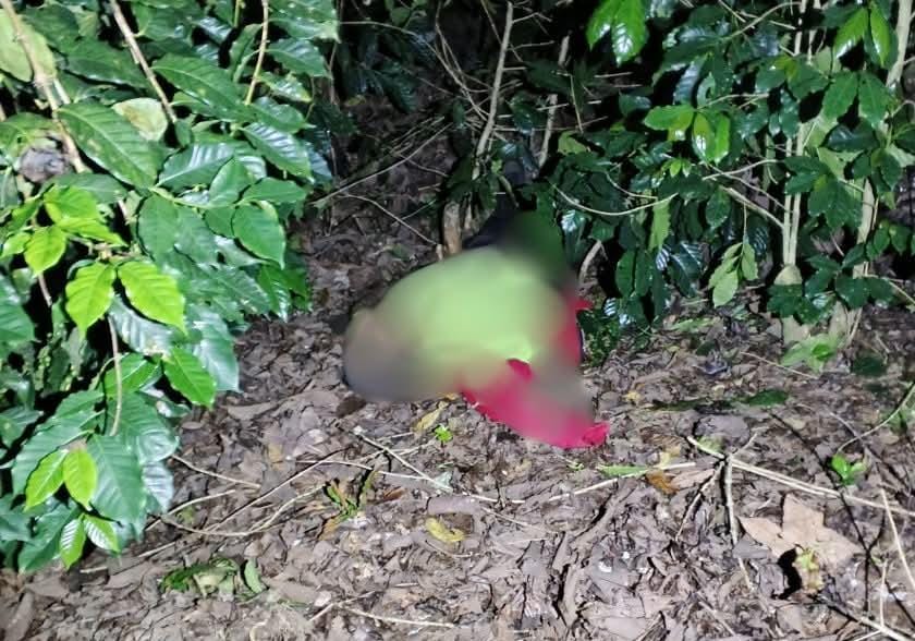 Hallan cuerpo en avanzado estado de descomposición en Chichiquila