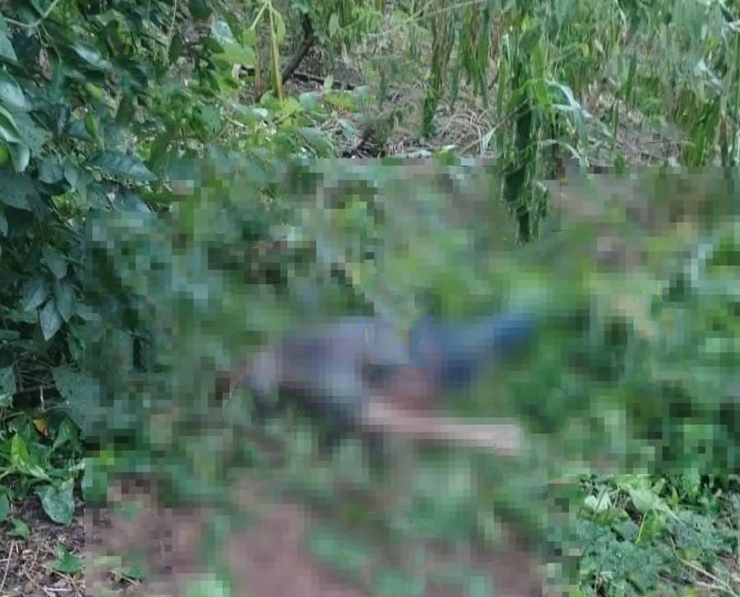 Hallan cuerpo en avanzado estado de descomposición en Jonotla