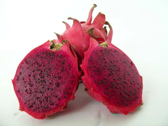 Iniciarán cultivo de pitahaya de pulpa roja en Santa Ana Teloxtoc 