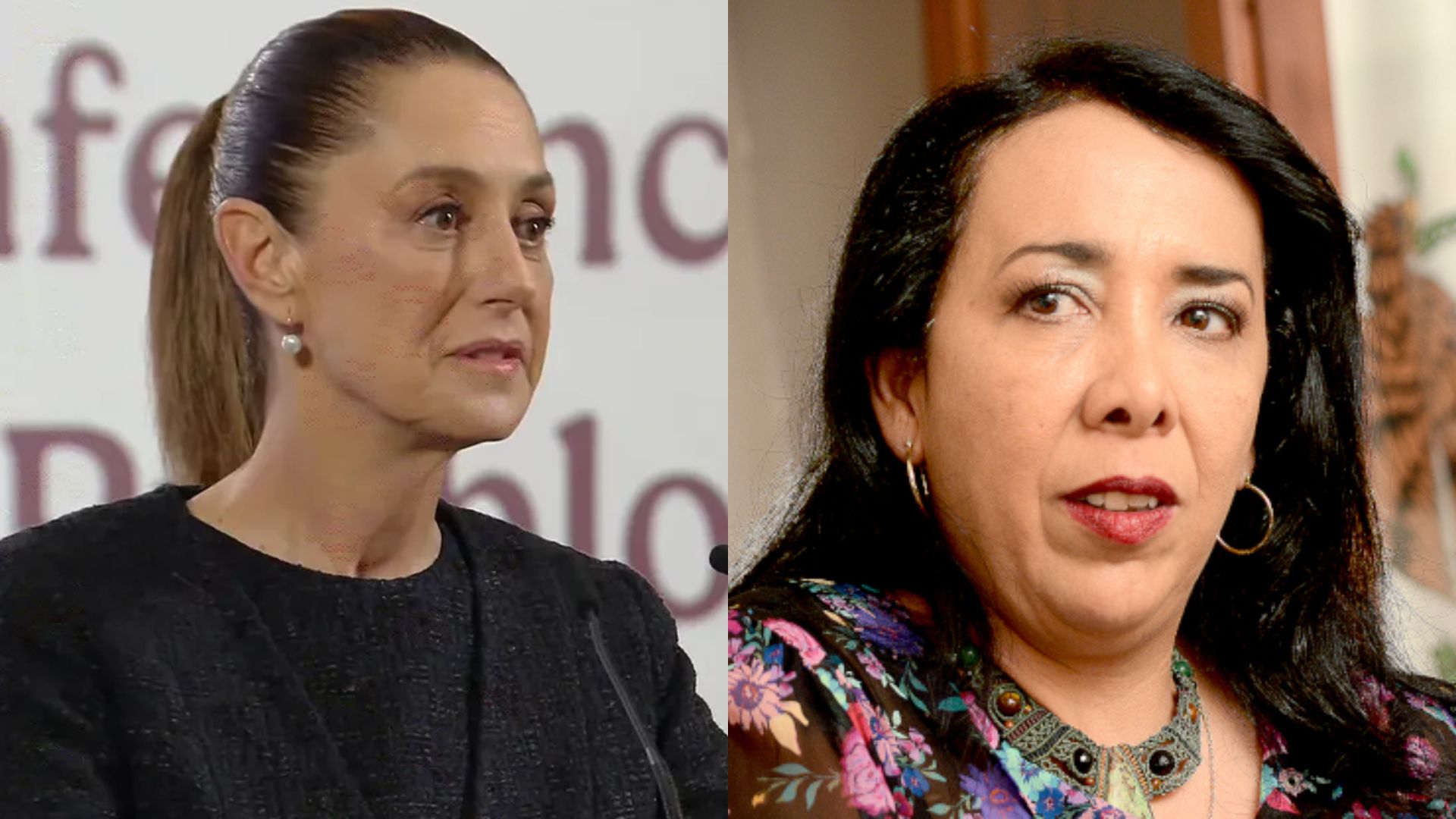 EU no brindó suficiente evidencia para investigar a Araceli Brown: Sheinbaum