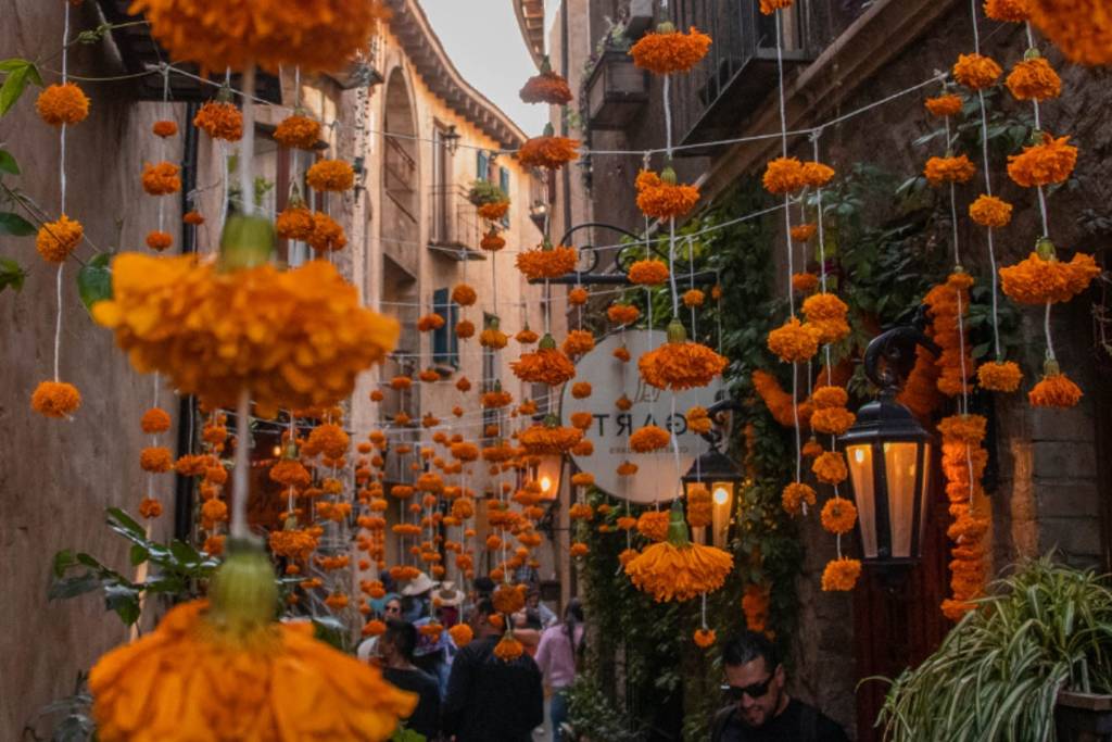 Val’Quirico tiene actividades preparadas para el otoño, conócelas aquí 