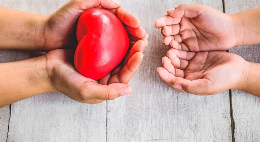 IMSS Puebla realiza campaña para promover la donación de órganos 