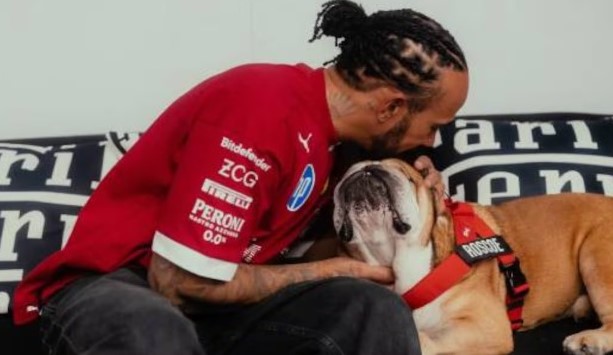 Roscoe, la mascota de Lewis Hamilton y F1, se encuentra en coma