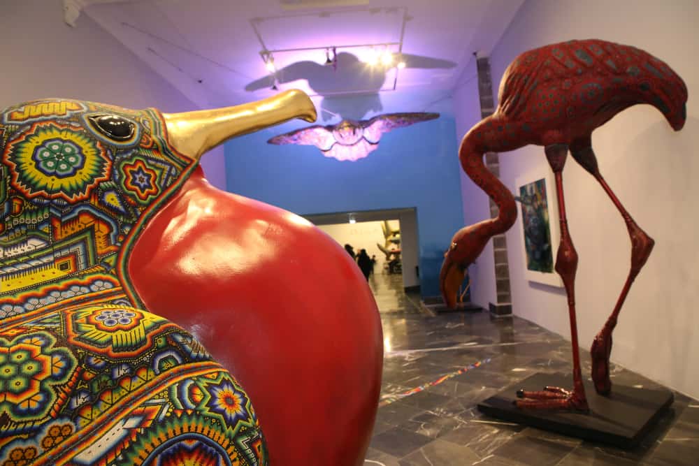 Éxito total: IMACP extiende exposición El murmullo de los océanos