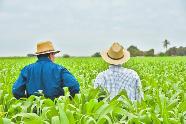 Plagas afectan 40% de cultivos y México apuesta por biológicos en Tlaxcala