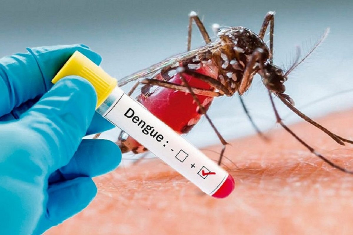 Desarrollan bioinsecticida contra el mosquito del dengue