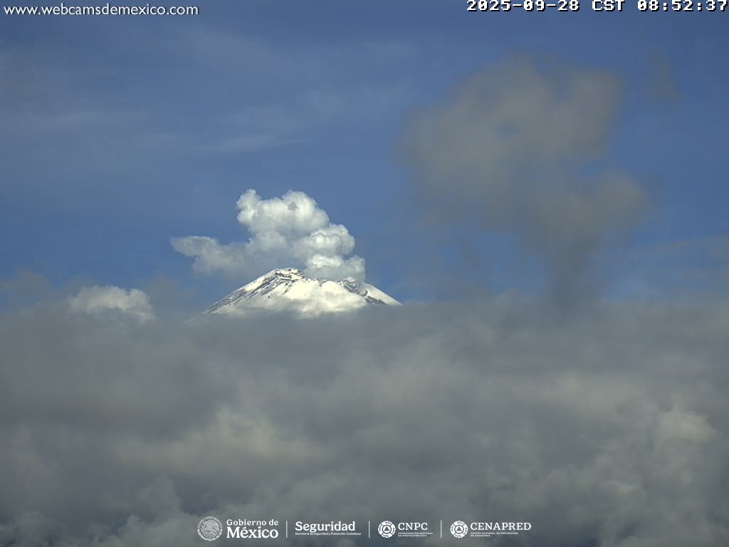 Popocatépetl registra 46 exhalaciones y 61 minutos de tremor