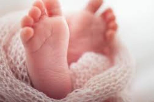 Encuentran a bebé nonato en una caja en colonia de Cuautitlán Izcalli