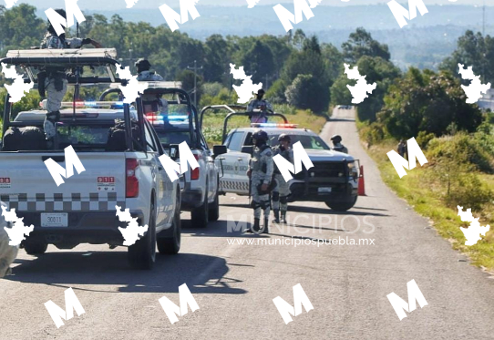 Solo 2 de 6 cabezas humanas identificadas: Tlaxcala sin entregar resultados genéticos 