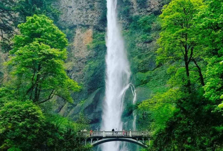 Conoce la Cascada Tulimán, la más alta de México