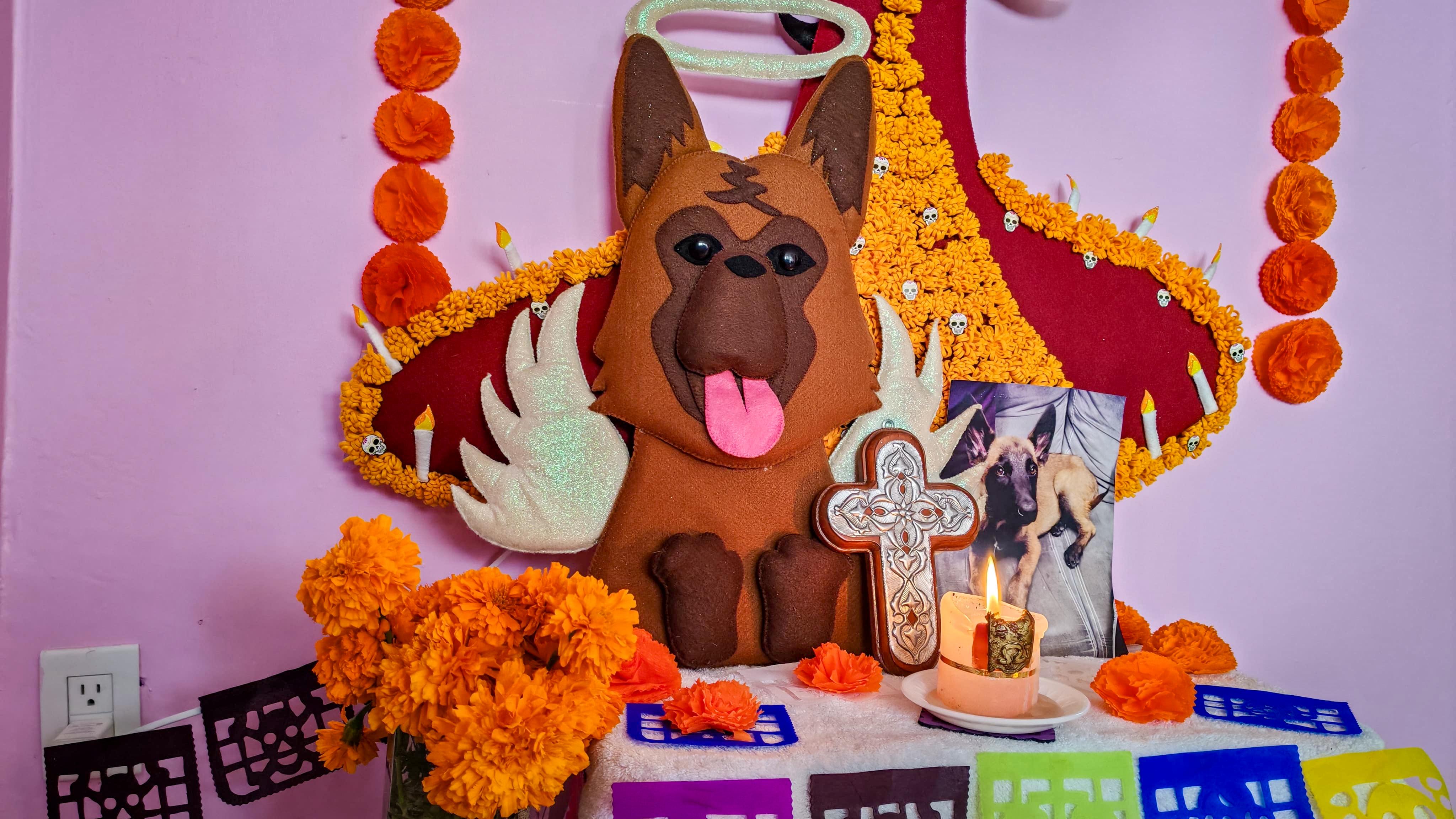 Ofrendas para mascotas se hacen presentes en el Día de Muertos en Tlaxcala