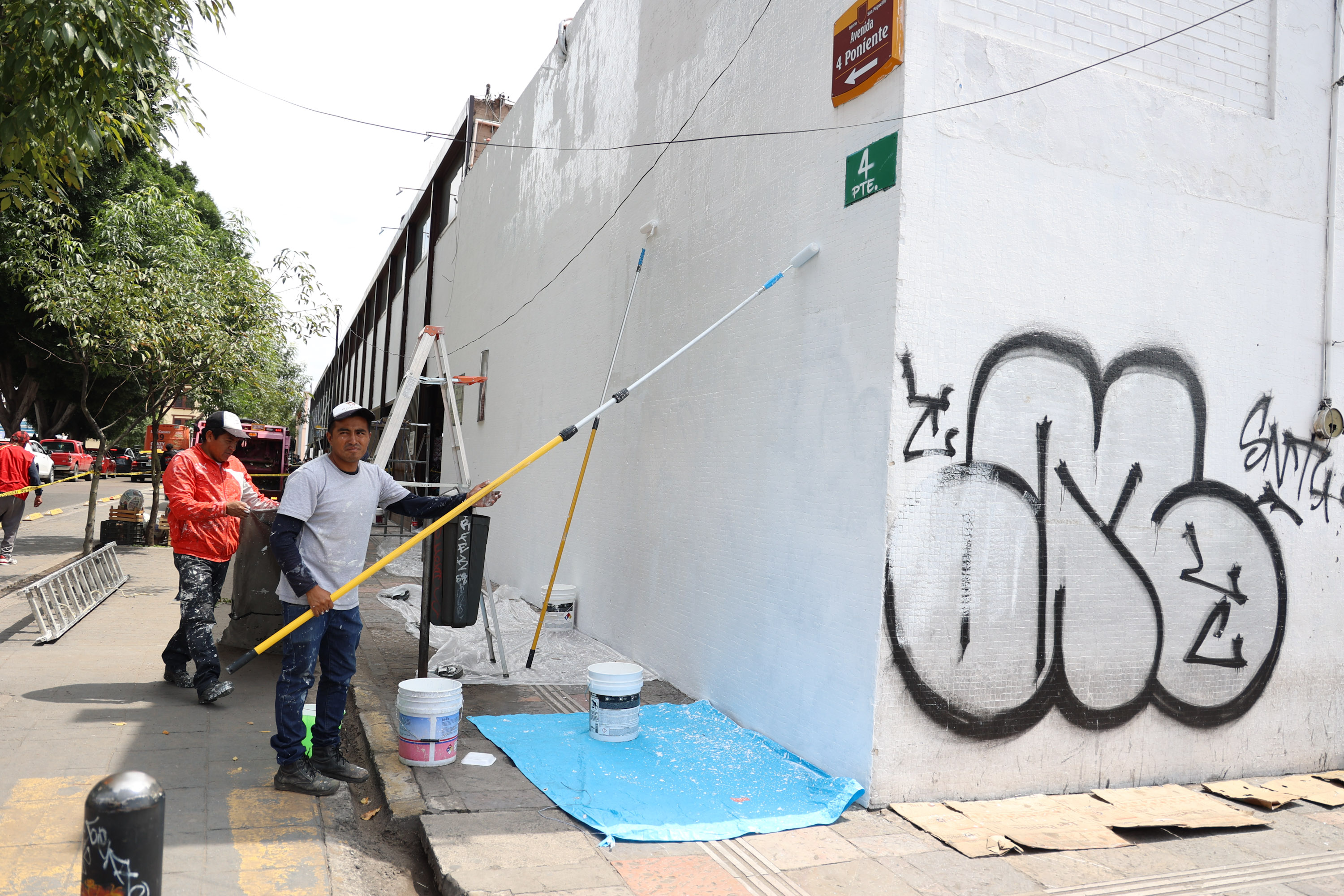 VIDEO Dan manita de gato al mercado Venustiano Carranza en Puebla
