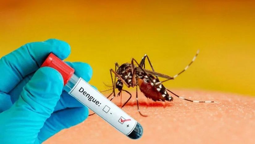 6 casos de Dengue se han reportado en el Estado: Secretaría de Salud