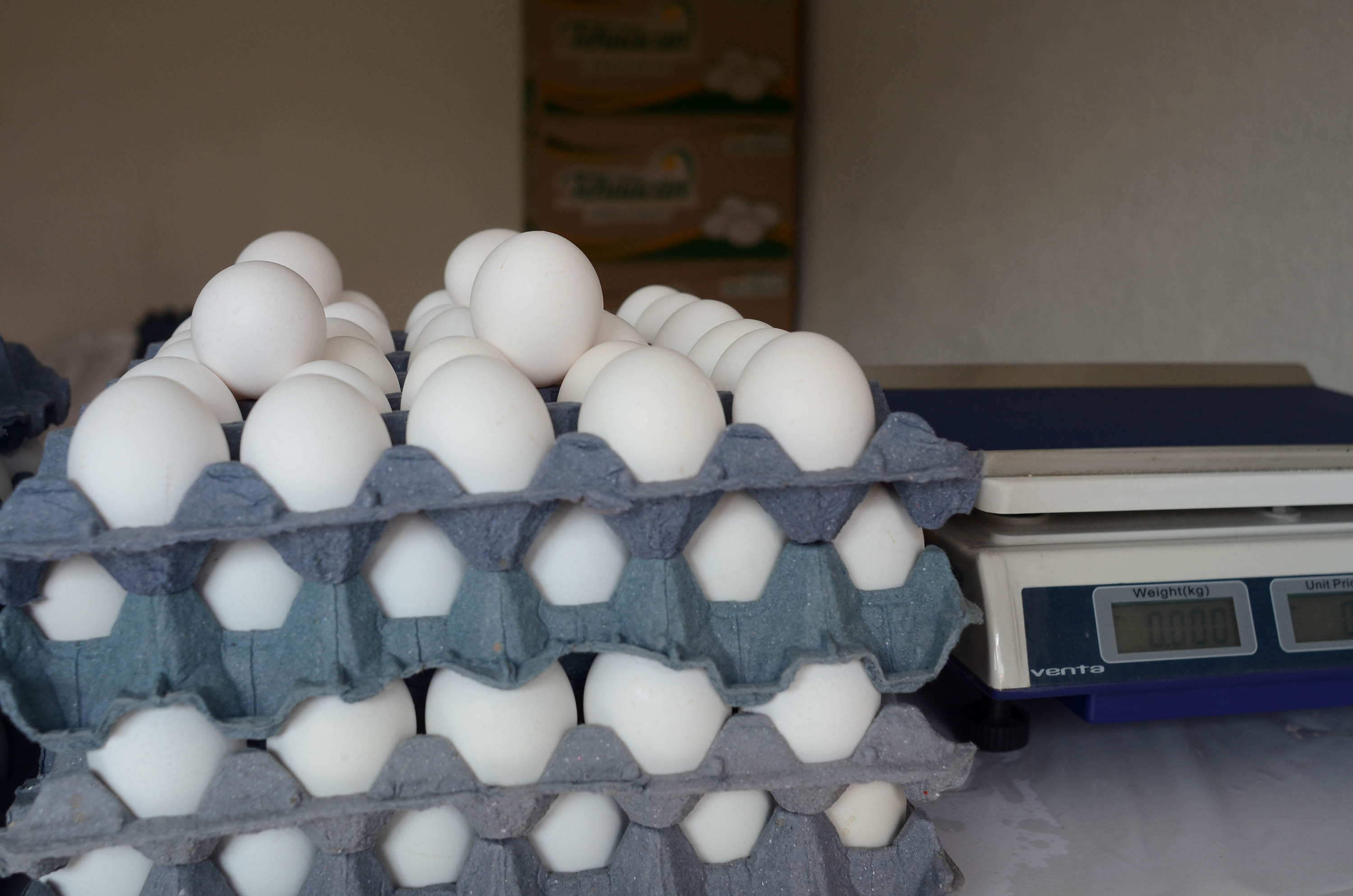 El precio de estos alimentos disminuyó en el mes de octubre 