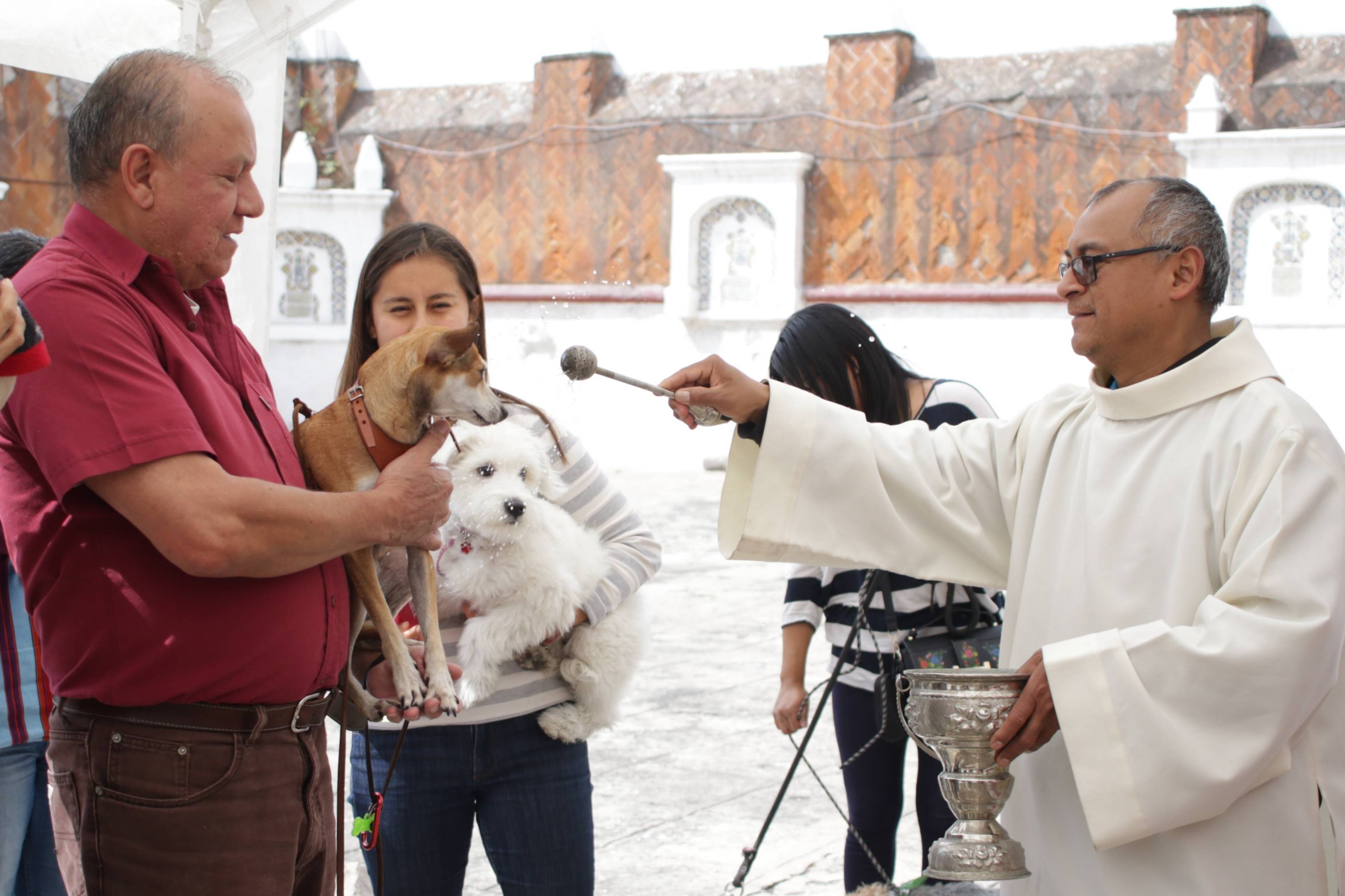 El 04 de octubre se bendicen las mascotas, este es el motivo