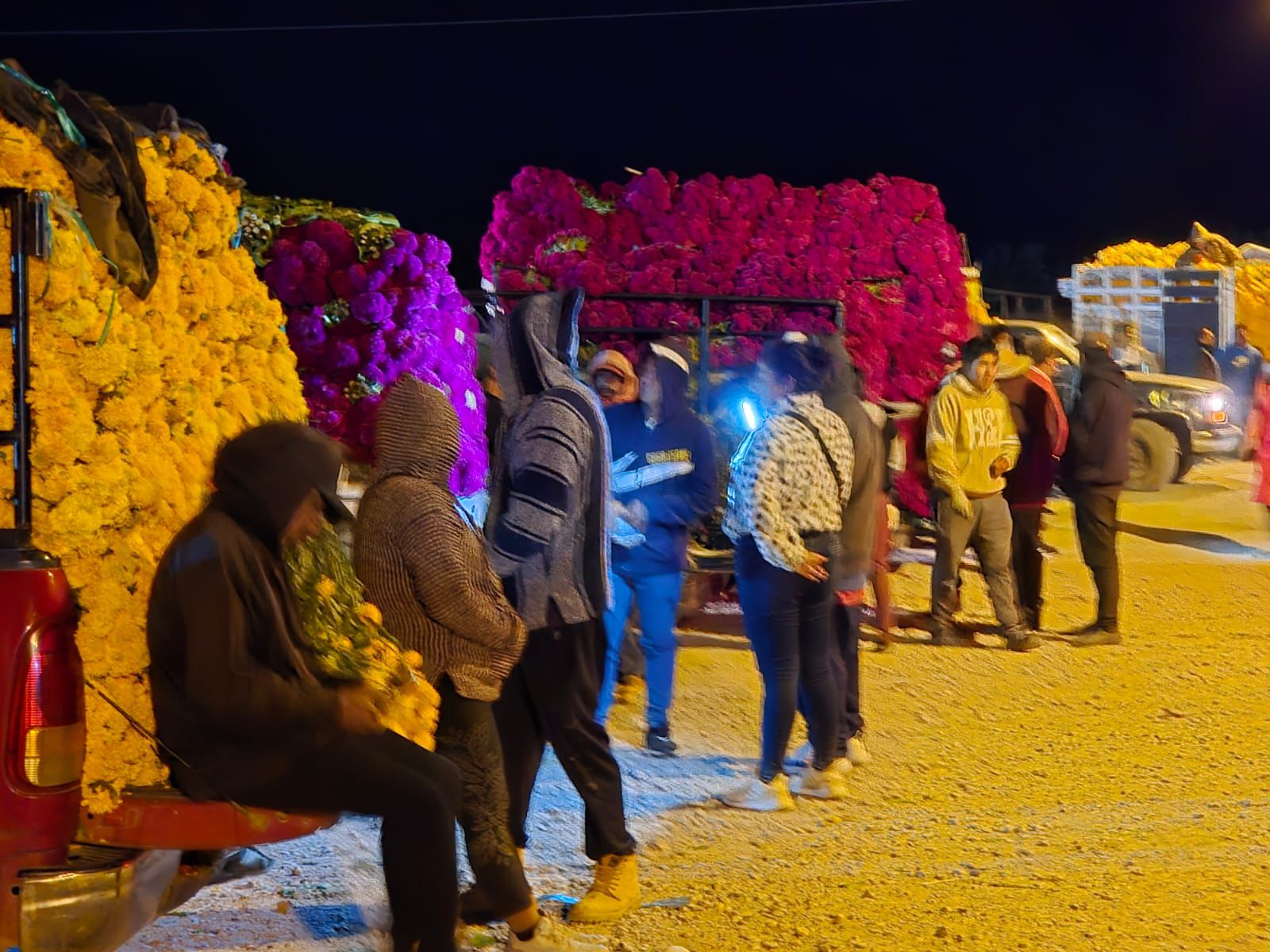 Ariadna Ayala promueve la economía local con venta de flor de temporada en Atlixco
