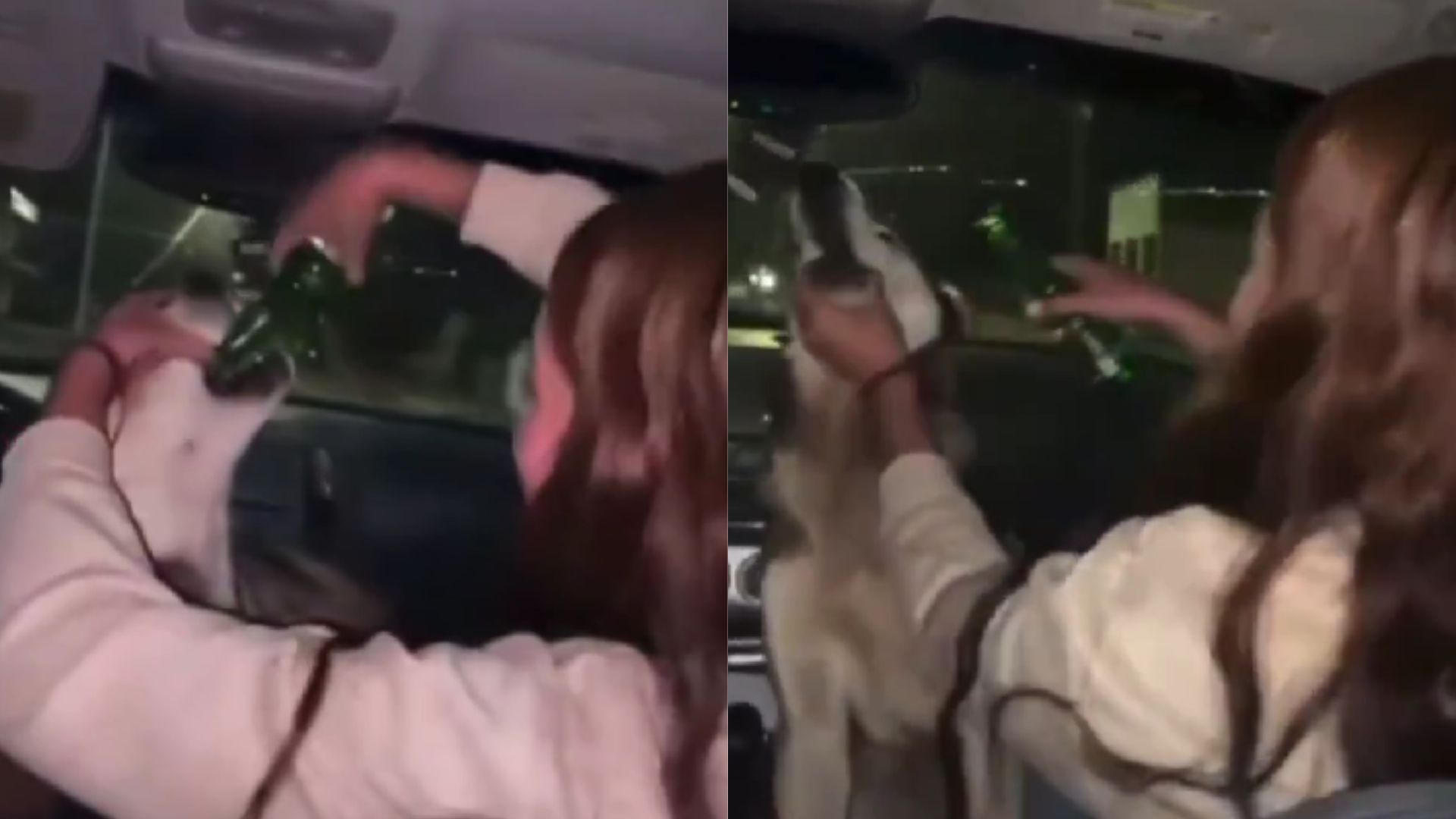 UPN Chihuahua ya expulsó a estudiante que alcoholizo a la fuerza a una perrita 