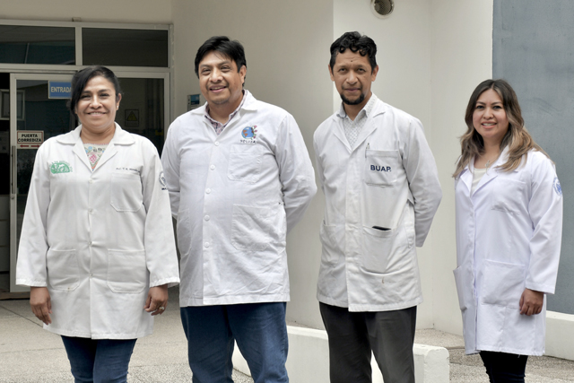 Inocrep BUAP, solución biotecnológica para una agricultura sustentable