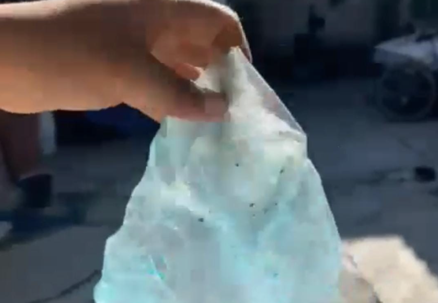 Indignación en Texmelucan por nuevo caso de envenenamiento de perros