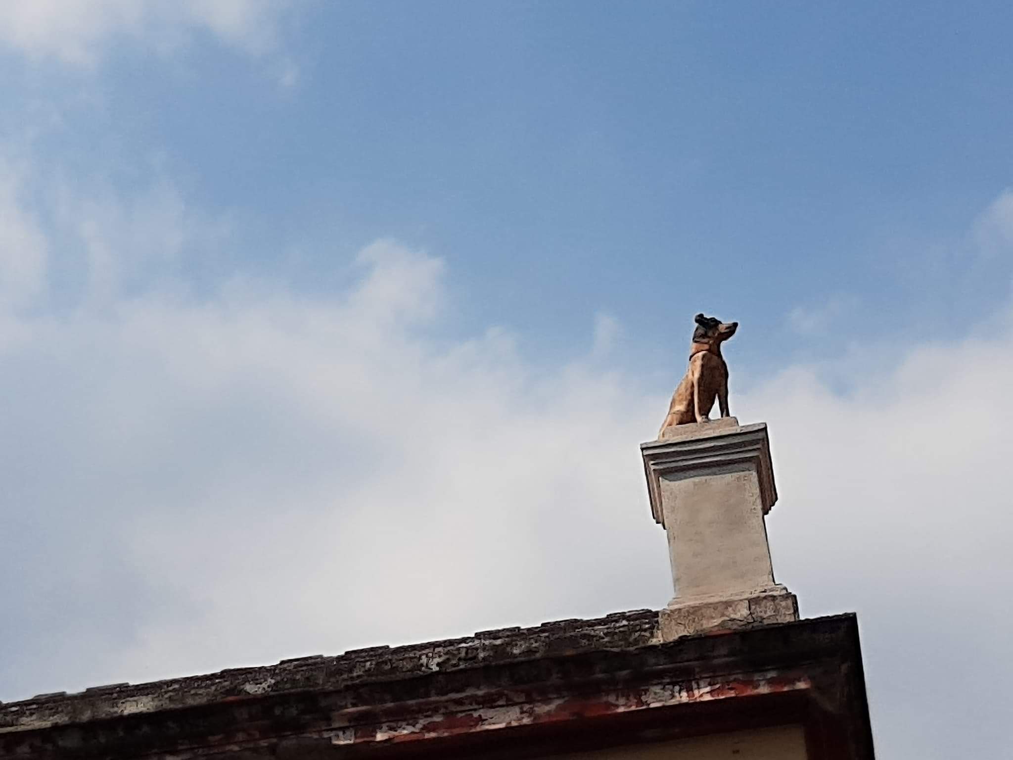 Este lugar tiene un misterioso guardián, La Casa del Perro en el Centro de Puebla
