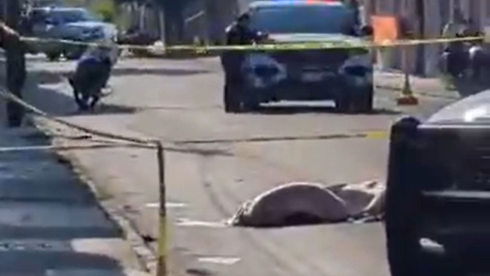 Hallan restos de hombre que fue atropellado en el Centro Histórico de Puebla