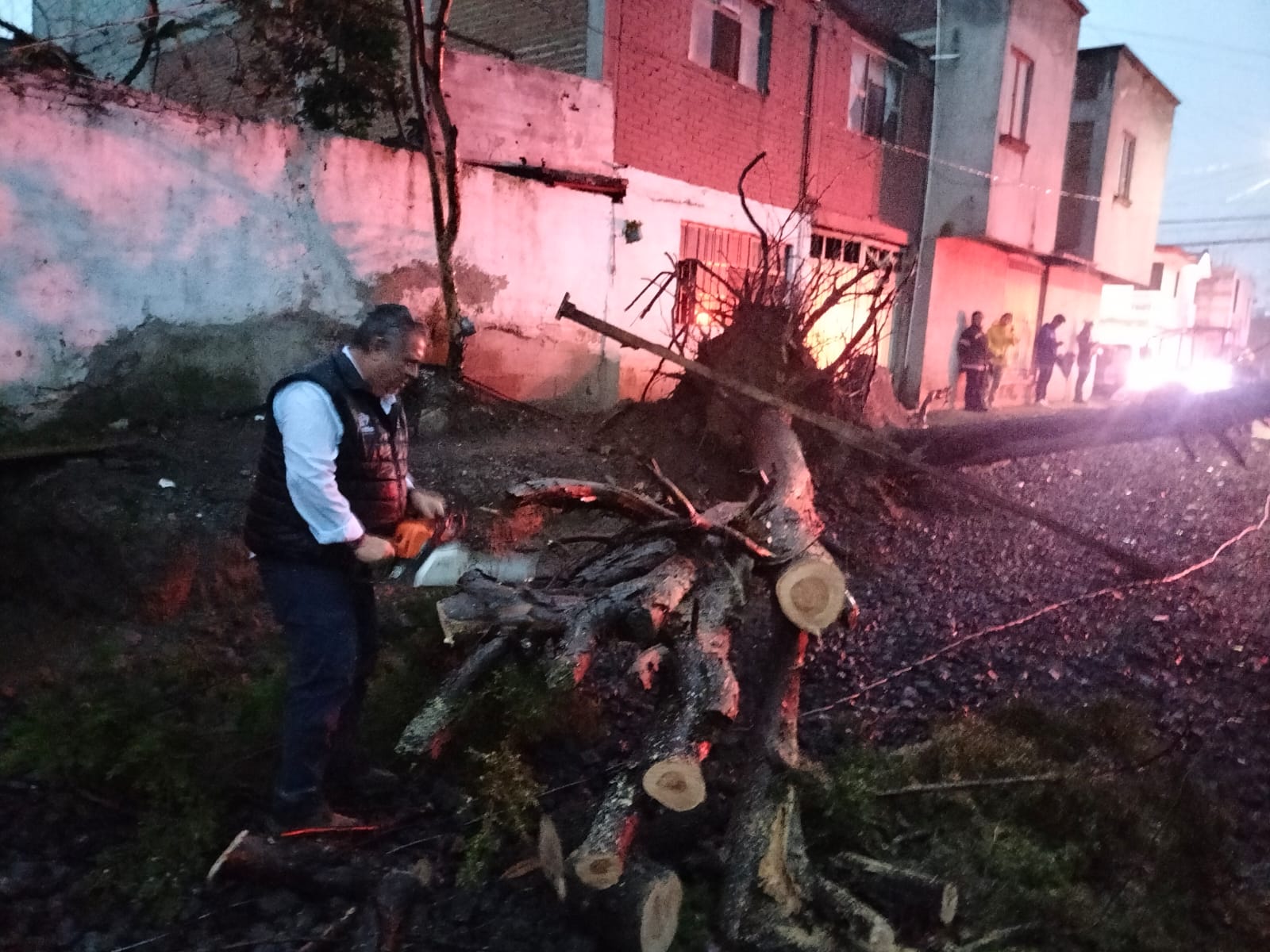 VIDEO Se caen dos árboles en la colonia Santa Cruz Buena Vista; el Congreso de Puebla se vuelve a inundar