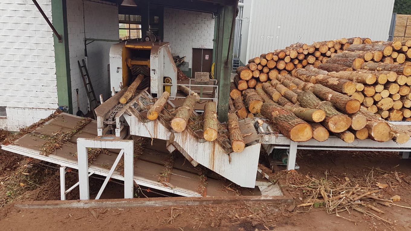 La Profepa clausuró tres aserraderos clandestinos en Huachinango y Zacatlán 