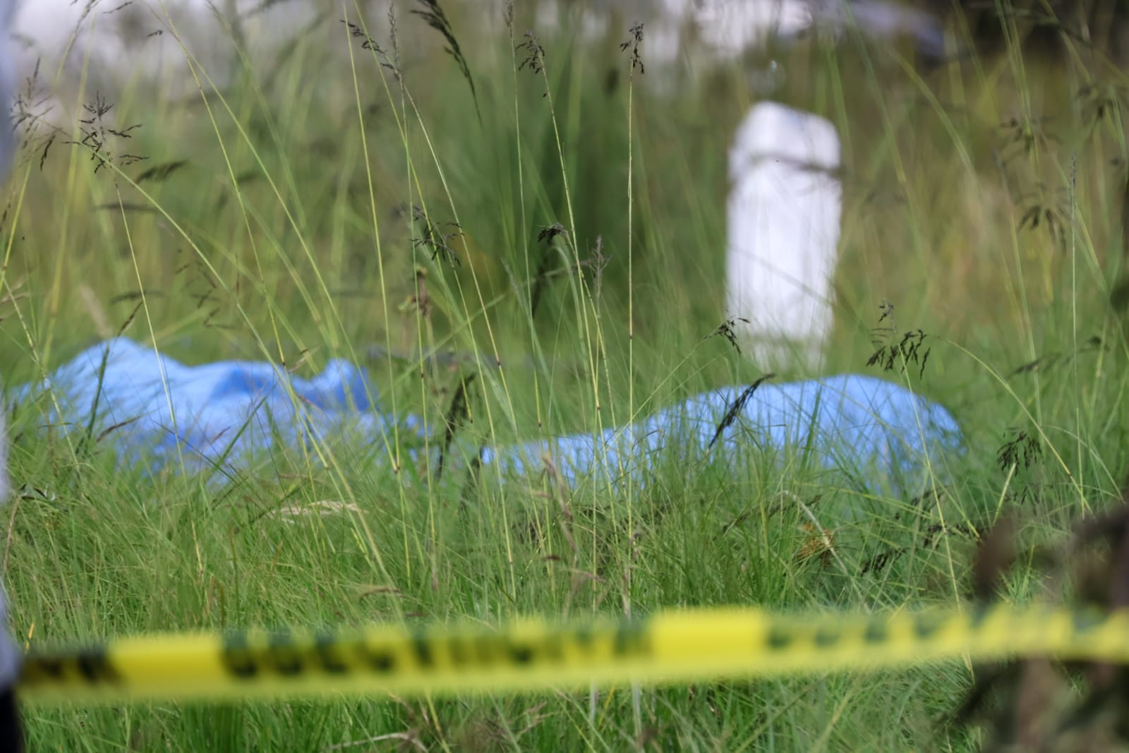 Encuentran el cadáver de un hombre que estaba siendo devorado por perros en San Sebastián de Aparicio