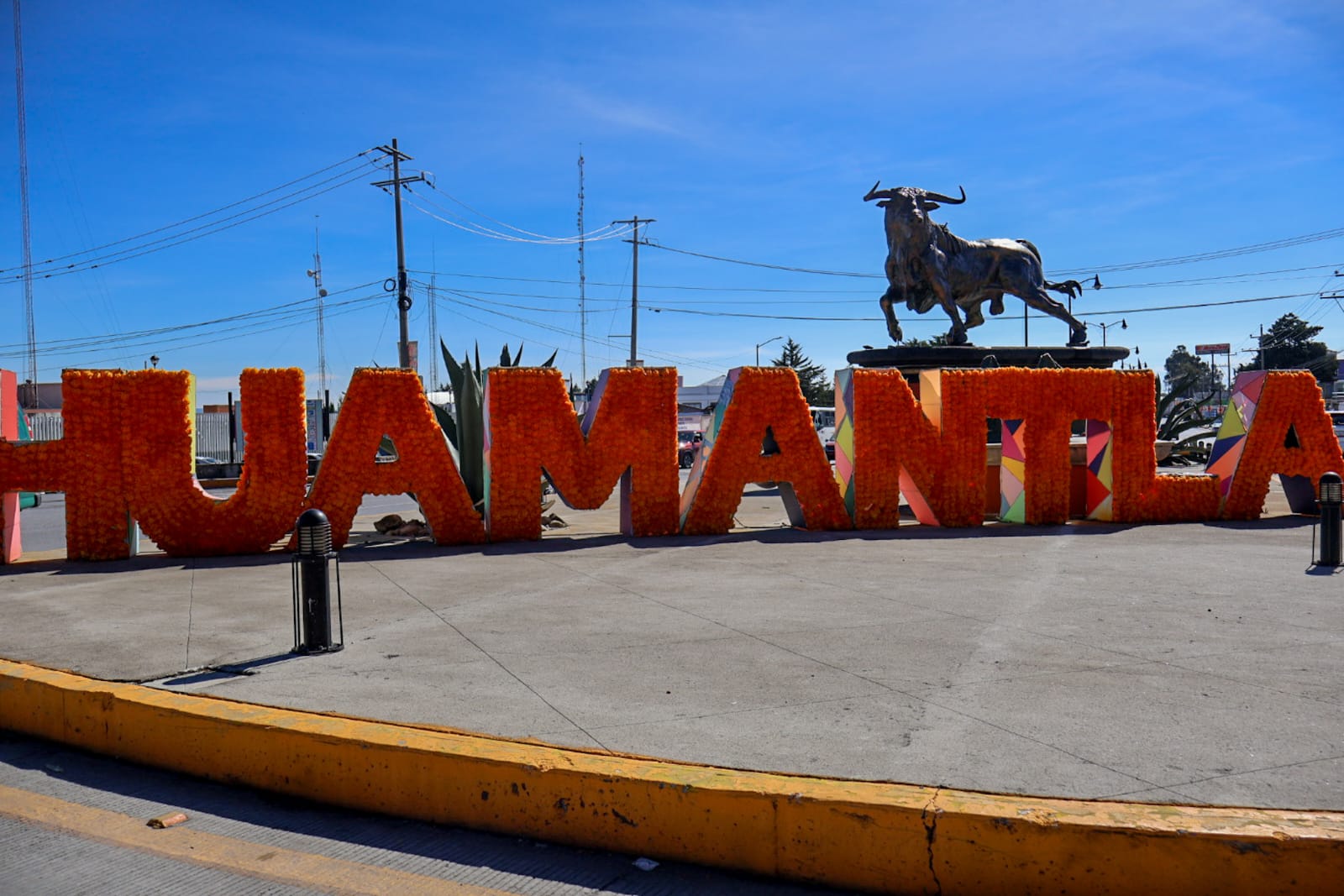 Huamantla recibe a visitantes con coloridas flores de cempasúchil