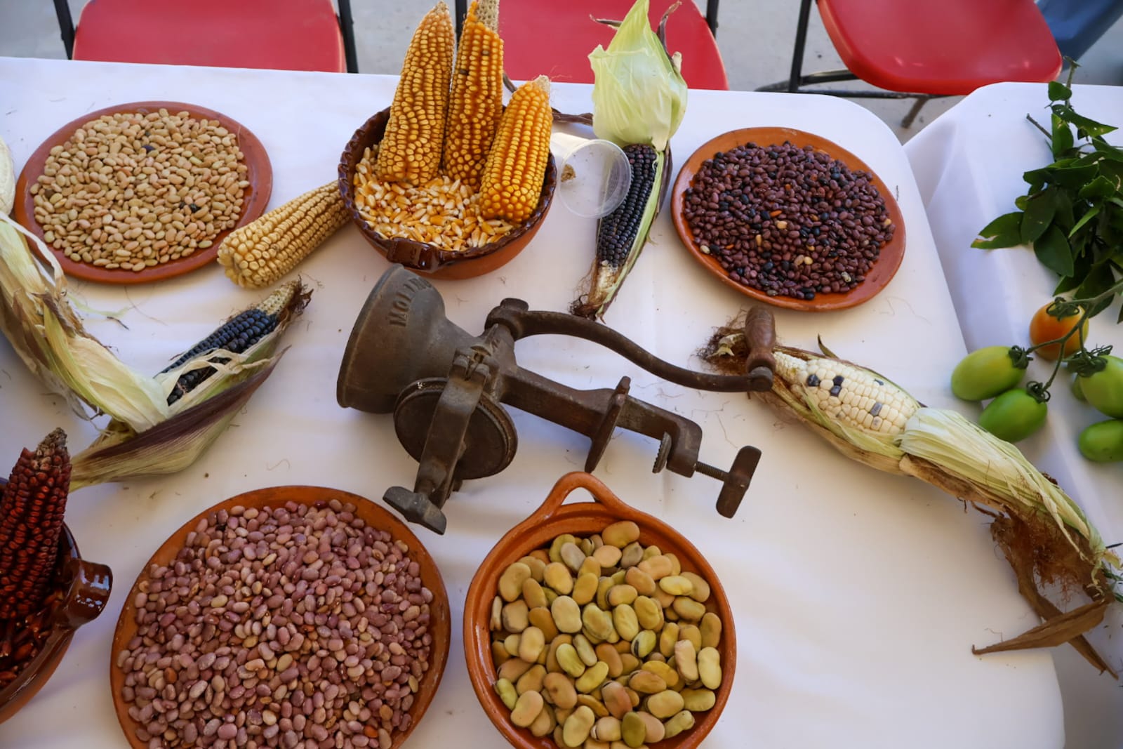 Tlaxcala recibirá reconocimiento mundial por el Sistema Metepantle