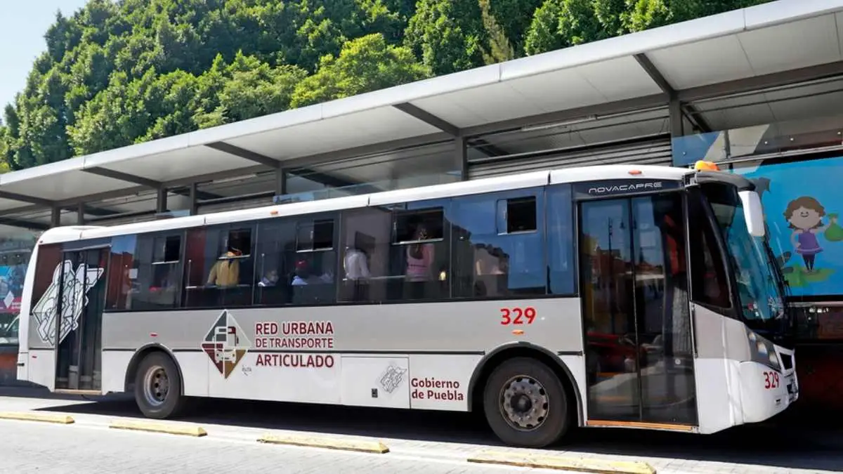 Puebla crece solo 1.4% en traslados de RUTA en 1 año