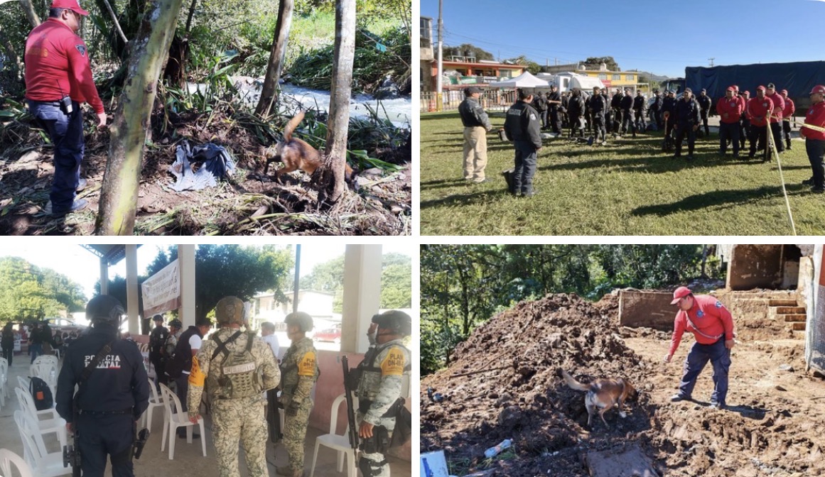 Realizan búsquedas en Huauchinango con binomios y bomberos