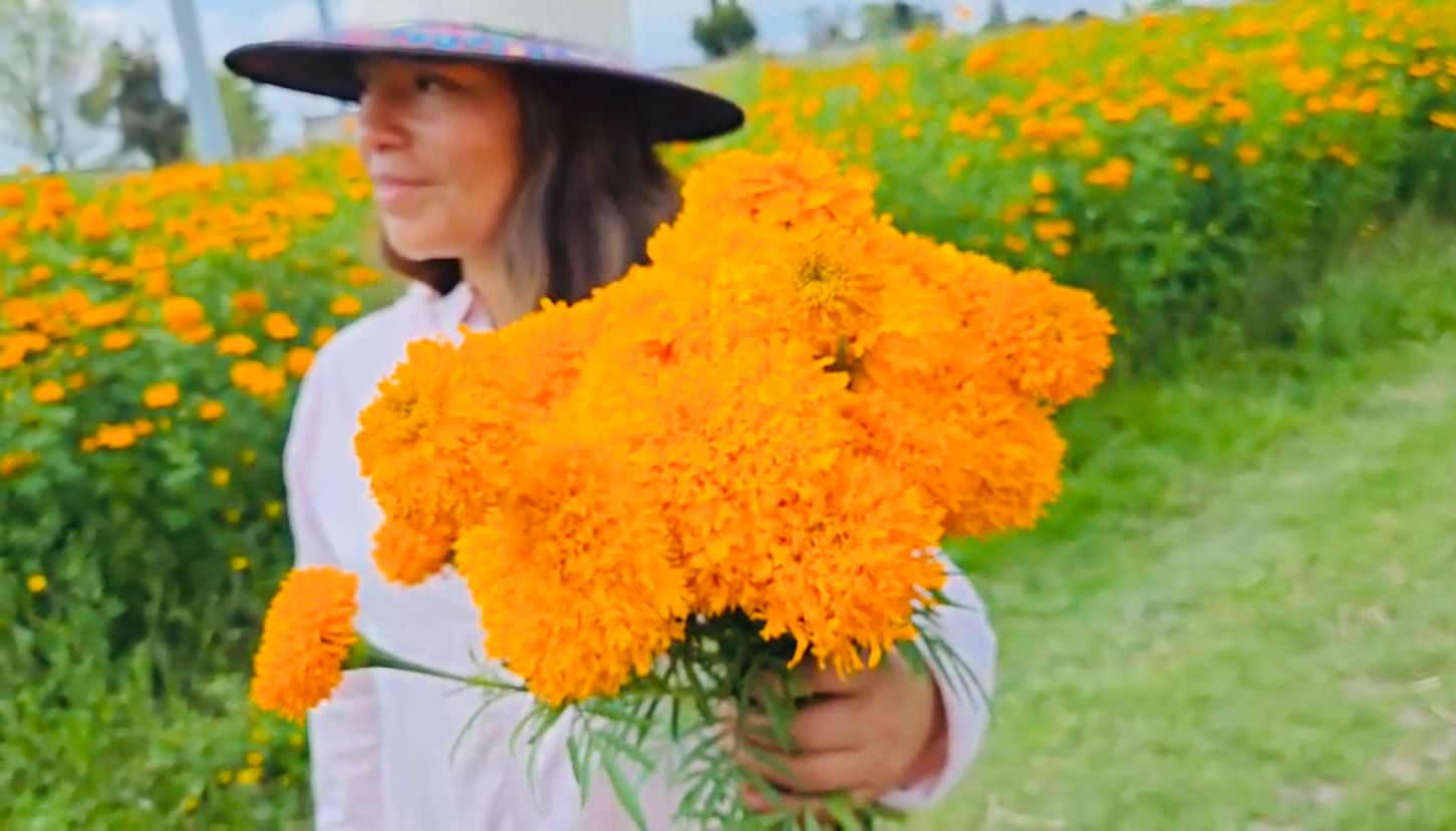 Campesinos de Xoxtla apuestan por la siembra de flor de cempaxúchitl