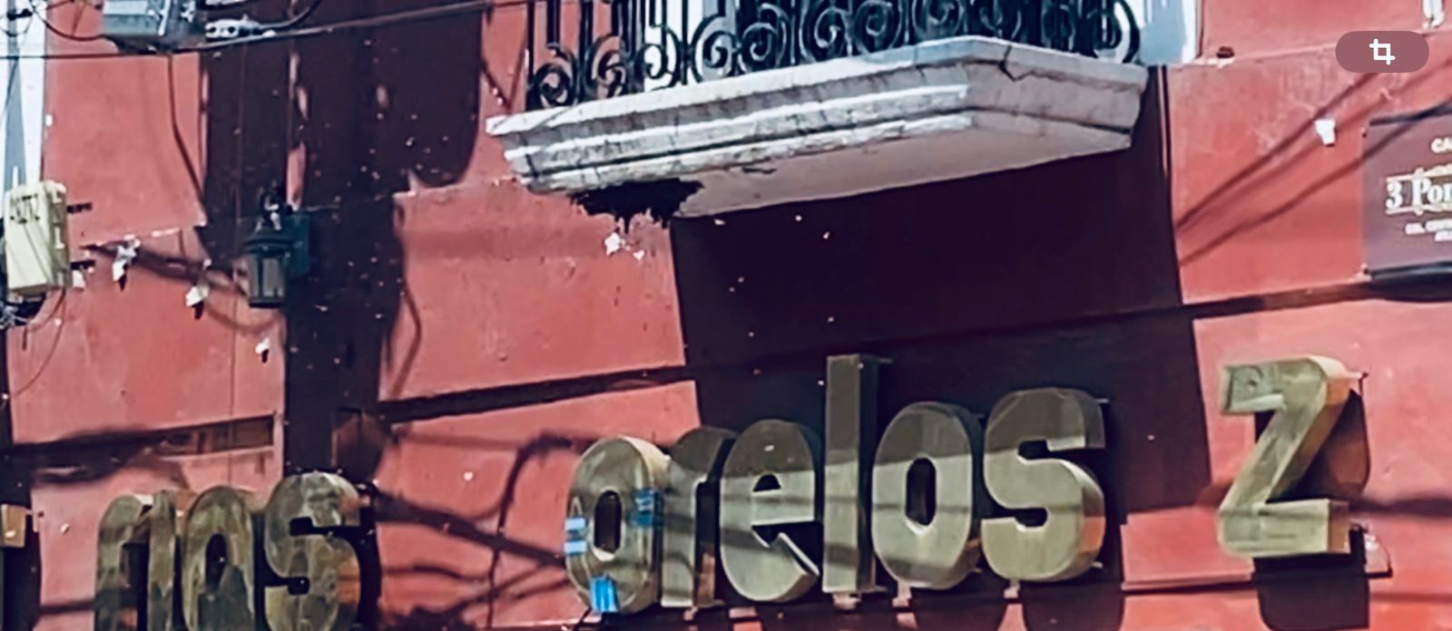 Panal de abejas desata tensión en pleno centro histórico de Atlixco