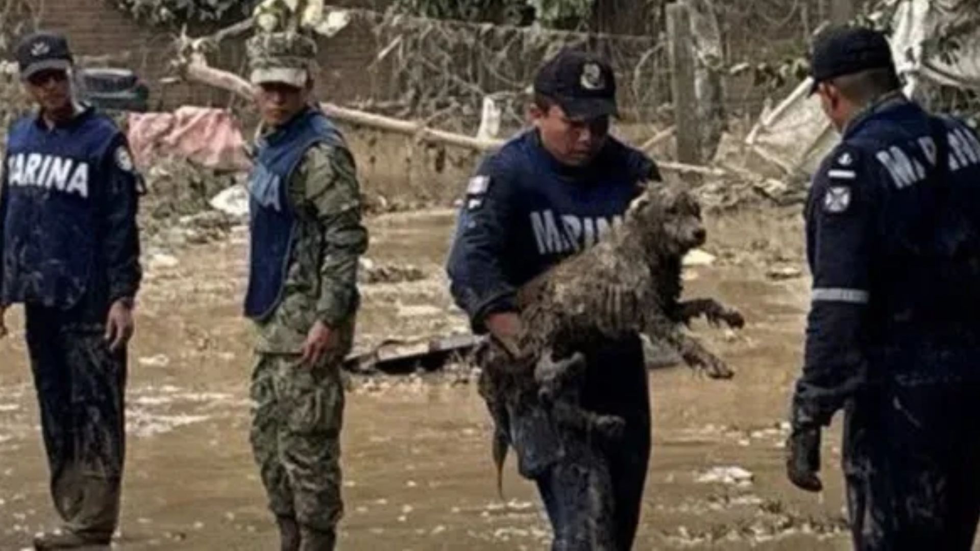 Por fuertes lluvias en Huauchinango, se habilitó un refugio para mascotas y dueños