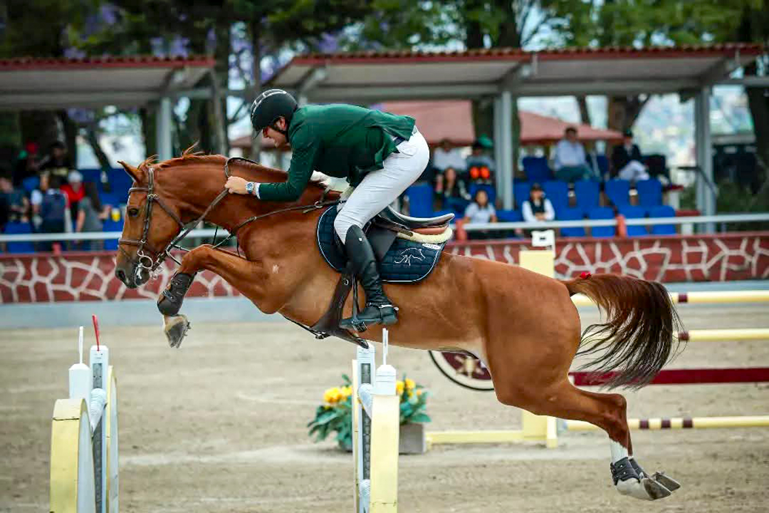 Reunirá México Discovery Equestrian Classic 2025 a los mejores jinetes