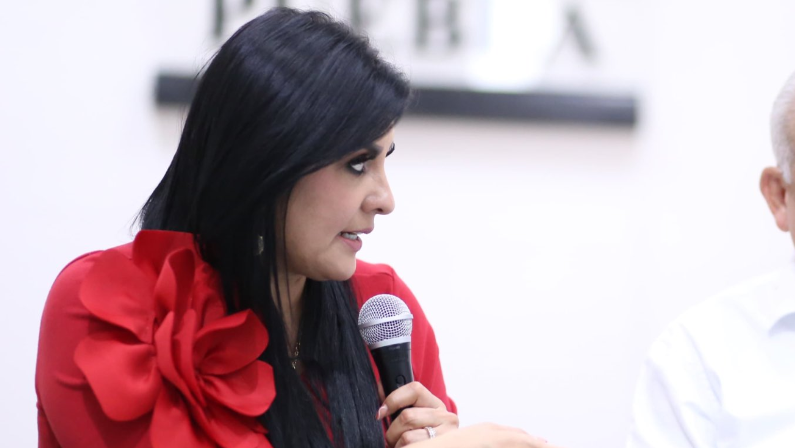 Delfina Pozos pide sanción penal contra Teresa Castro