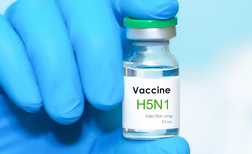 OMS pide vacunar contra gripe aviar a población de alto riesgo