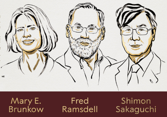 Mary E. Brunkow, Fred Ramsdell y Shimon Sakaguchi reciben el Nobel de Medicina 2025 