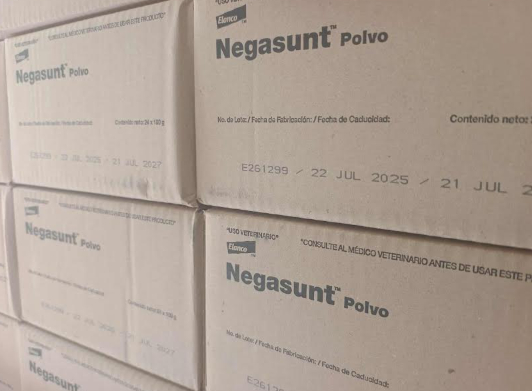 Activan liberación de moscas estériles en la Sierra Negra por brote de Gusano Barrenador